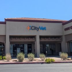 CityVet - Chandler