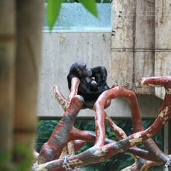 Krefelder Zoo