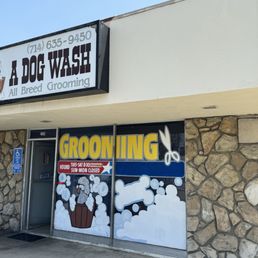 This is only half the store front, there's also a pup waiting room to the left with ac and a huge glass window