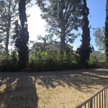 A Sandoval Tree Service - Tree Services Near Me - Arleta , California
