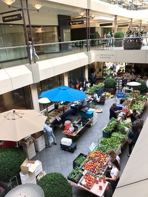 Crocker Galleria by null