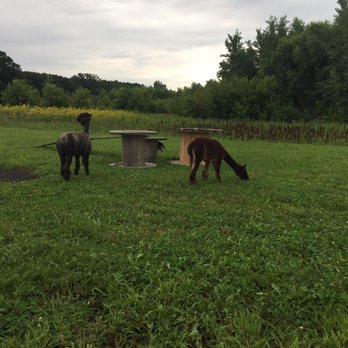 Pleasant Grove Pizza Farm - Alpacas - Pizza Near Me - Waseca, Minnesota Pleasant Grove Pizza Farm - Alpacas - Pizza Near Me - Waseca, Minnesota