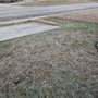 Photo of A La Orden Landscaping
