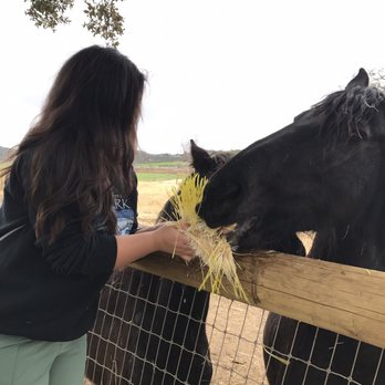 Alpine Acres Sanctuary Farm - Ranches Near Me - Alpine, California