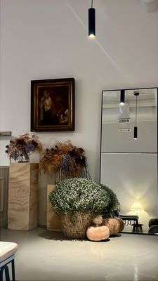 Hola Cafe Dallas by null