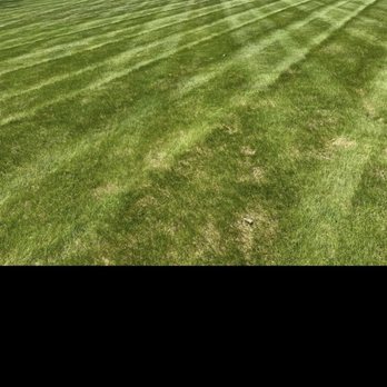 Diamond Mow Masters - Lawn Services Near Me Diamond Mow Masters - Lawn Services Near Me