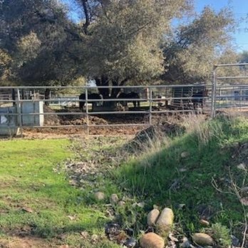 Shadow Glen Family Stables - Horseback Riding Near Me - Fair Oaks, California