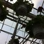 Photo of HillTop Greenhouse & Farms
