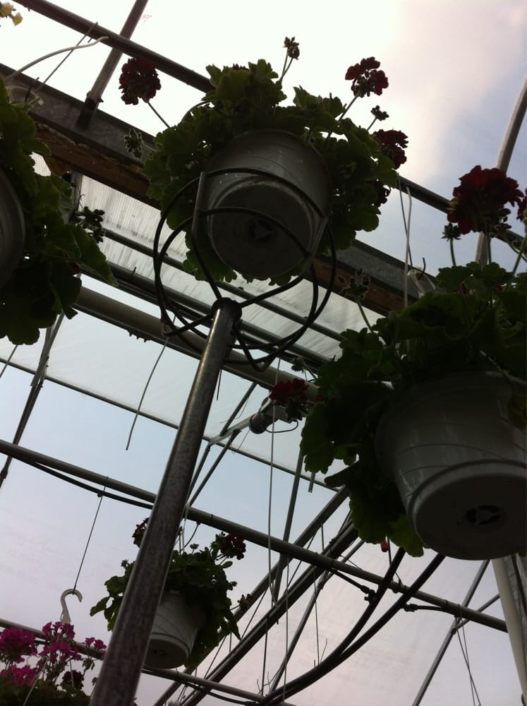 HILLTOP GREENHOUSE & FARMS Updated September 2024 8996 W Liberty Rd