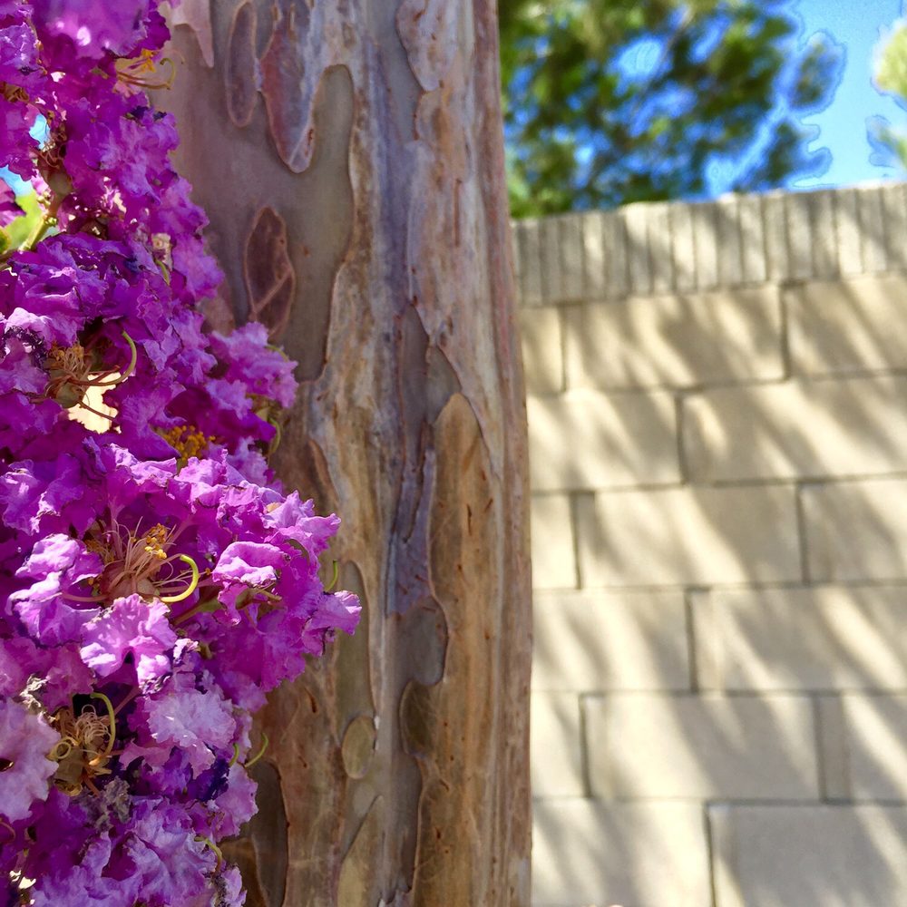 Founder's Park - Parks Near Me - Brea, California Founder's Park - Parks Near Me - Brea, California