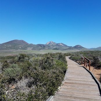 Los Osos Elfin Forest - Parks Near Me