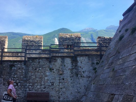 Castello Scaligero di Malcesine by null