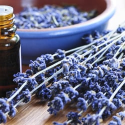 It All Makes Scents - Customers love the convenience of warren country Tennessee shop carrying dried lavender, oil, fragrance oil and warming melts