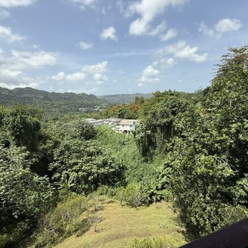 Pollos Neco - Puerto Rican Near Me - Ciales, Puerto Rico Pollos Neco - Puerto Rican Near Me - Ciales, Puerto Rico