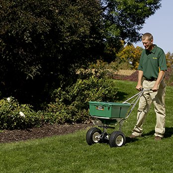 Weed Man - a man pulling a green lawn spreader - Pest Control Near Me - Albion, New York Weed Man - a man pulling a green lawn spreader - Pest Control Near Me - Albion, New York