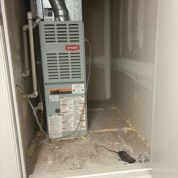 Manco Abbott - Rats have disease should be reported to public health. - Property Management Near Me - Fresno, California Manco Abbott - Rats have disease should be reported to public health. - Property Management Near Me - Fresno, California