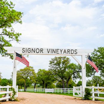 Signor Vineyards - Located on Hwy 290 in Fredericksburg, Texas - Wine Tasting Room Near Me - Fredericksburg, Texas