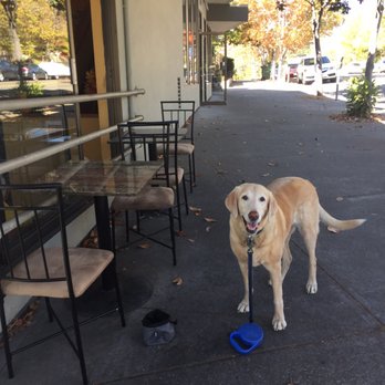 Jerusalem Organic Kitchen - Dog- friendly, shaded outdoor seating. - Middle Eastern Near Me - Berkeley, California