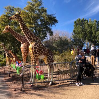 Phoenix Zoo - Zoos Near Me - Phoenix, Arizona Phoenix Zoo - Zoos Near Me - Phoenix, Arizona