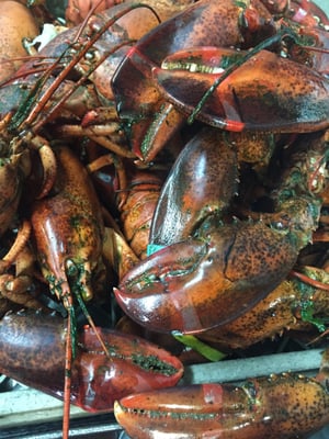 Da Francesco by null