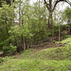 Jose Velasco Landscape Company - After clean up