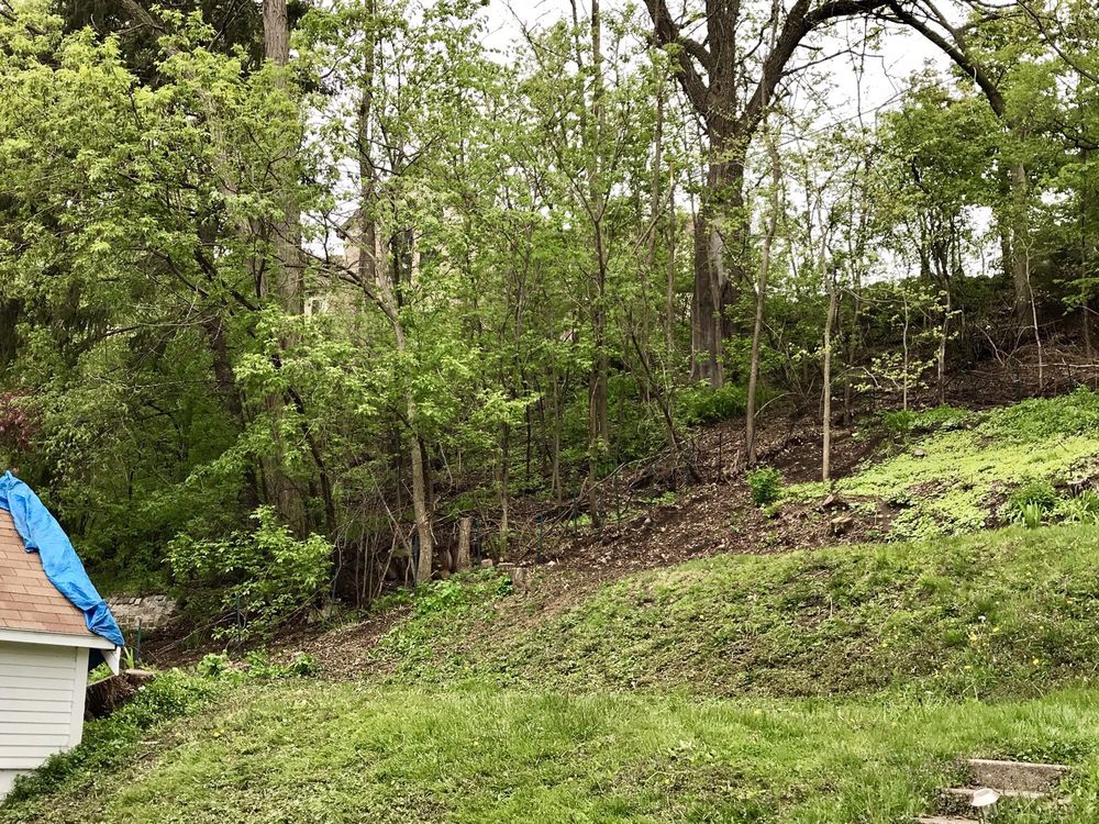 Jose Velasco Landscape Company - tree service in West Allis, WI