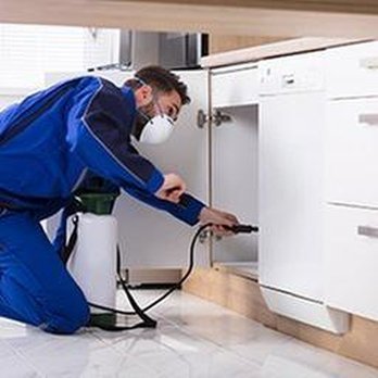 Bill's Pest Control - untitled - Pest Control Near Me - North Bend, Oregon