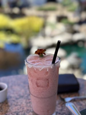 Salt & Stone by null