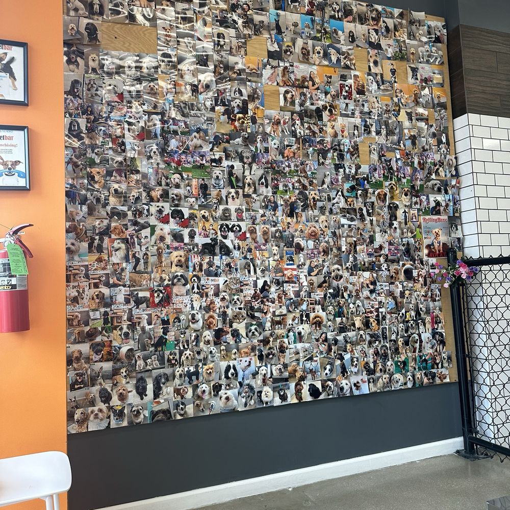 petbar San Antonio - Alamo Heights - Photo board - Pet Groomers Near Me - Alamo Heights, Texas petbar San Antonio - Alamo Heights - Photo board - Pet Groomers Near Me - Alamo Heights, Texas
