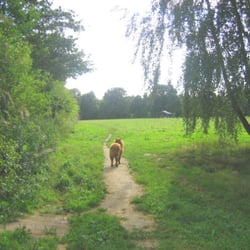 Hundeauslauf Höltigbaum - Weg von Wäldchen zurück zur Wiese