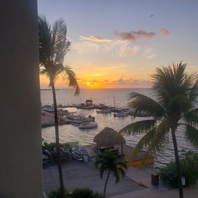 Amara Cay Resort by null