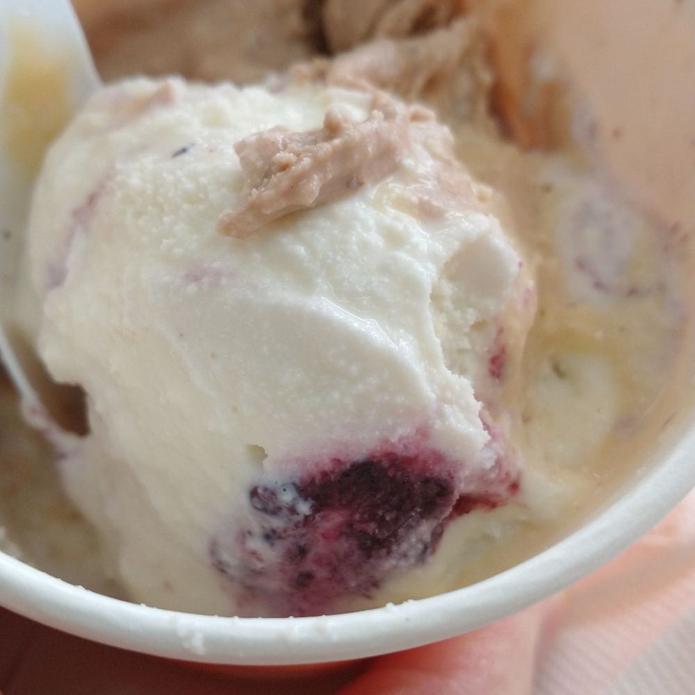 La Monarca Michoacana - Gansito is a Mexican snack cake - Desserts Near Me - Houston, Texas