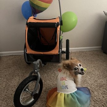 San Diego Pride - Festivals Near Me - San Diego, California San Diego Pride - Festivals Near Me - San Diego, California
