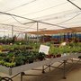 Photo of Vivero