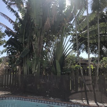 JJS Lawncare & Landscaping - Tree Services Near Me - Deerfield Beach, Florida JJS Lawncare & Landscaping - Tree Services Near Me - Deerfield Beach, Florida
