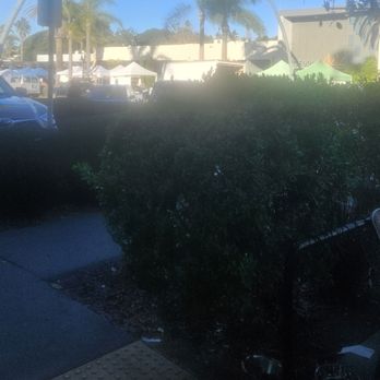 Barefoot Coffee Roasters - view from outdoor patio - Coffee & Tea Near Me - Solana Beach, California