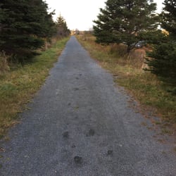 Salt Marsh Trail