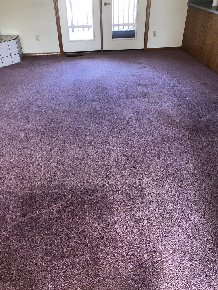MIKE’S ON THE SPOT CARPET CLEANING Updated August 2024 11 Reviews