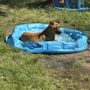 Photo of Southaven Animal Shelter