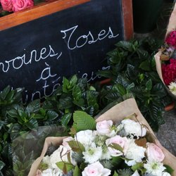 L'Histoire d'une Fleur