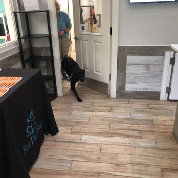 Pet Paradise Lake Norman - Lulu! - Pet Groomers Near Me - Huntersville, North Carolina Pet Paradise Lake Norman - Lulu! - Pet Groomers Near Me - Huntersville, North Carolina