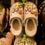 Photo of Crocs