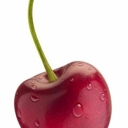 A Healthy Balance