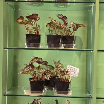 Florahound - Nurseries & Gardening Near Me - Sherman Oaks, California Florahound - Nurseries & Gardening Near Me - Sherman Oaks, California