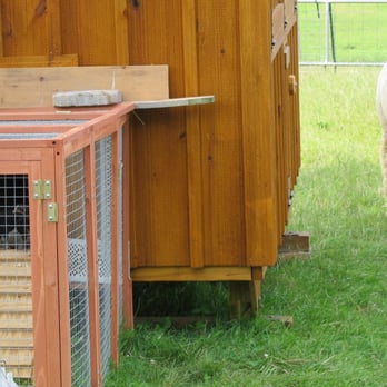 Cabin View Alpacas - Attraction Farms Near Me - Trumansburg, New York