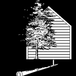 Underground Services First