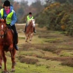 East View Riding Centre - From website