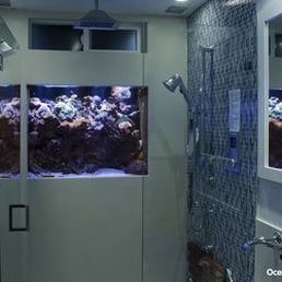 Oceans Aquarium built this awesome saltwater reef tank ... in my shower!