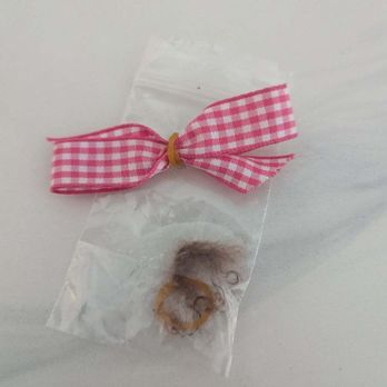 Pure Pawsh - The exact rubber band used for her hair bow was used on her leg .. groomer says she doesn't use them . Explain this ! - Pet Stores Near Me - San Diego, California Pure Pawsh - The exact rubber band used for her hair bow was used on her leg .. groomer says she doesn't use them . Explain this ! - Pet Stores Near Me - San Diego, California