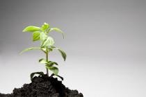 Inspired Therapy - grief counselor in Elgin, IL